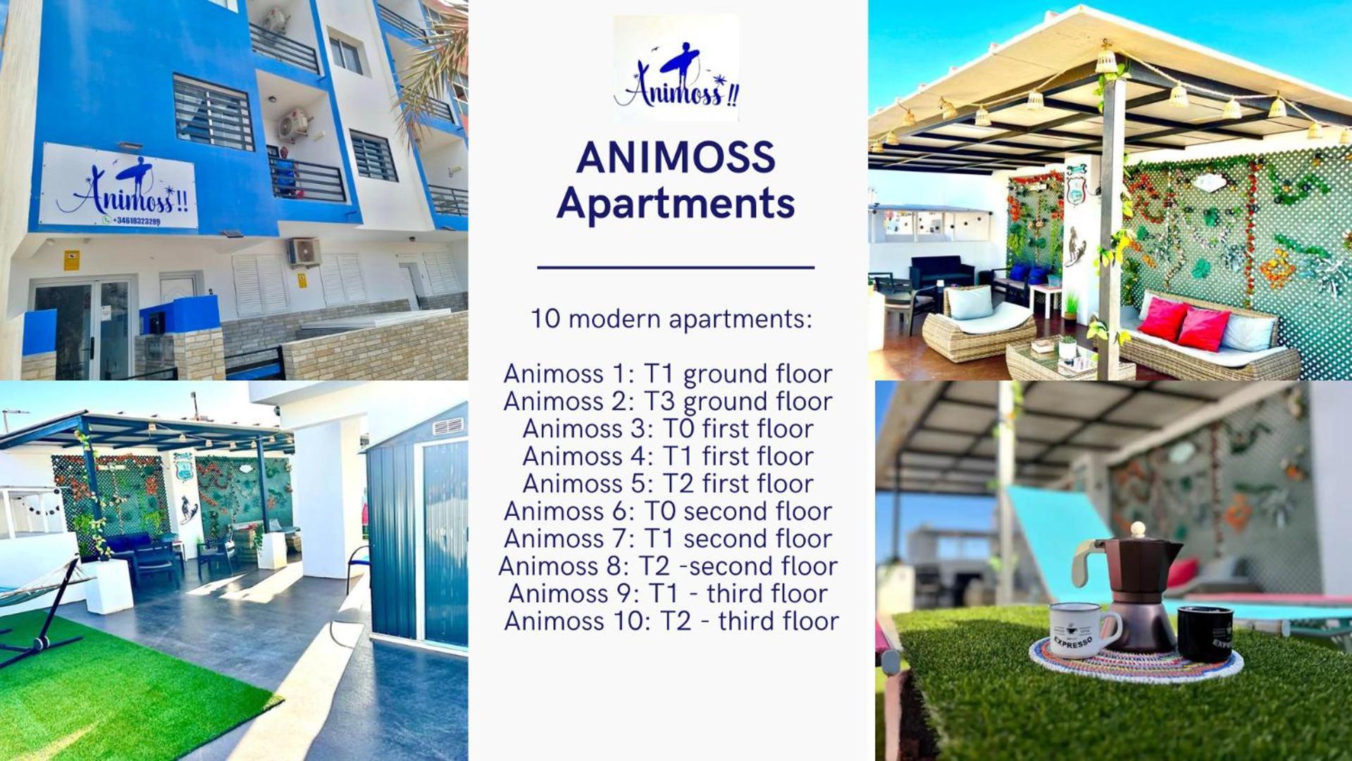 Animos! Apartments - 10 Modern Apartments Near The City & Beach, Perfect For Nomads, Travellers, Families, Watersports! Santa Maria Buitenkant foto